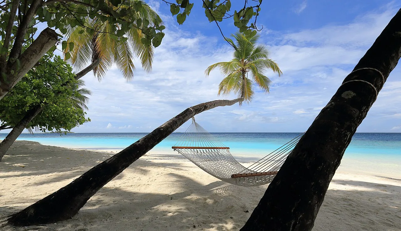 A hammock between palm trees on a white beach